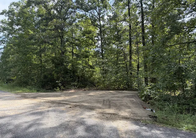 Photo 2 of Land for sale at 9 Slaughter Rd, Primm Springs, TN 38476 | MLS# 3079551 | Listing updated on 2026-09-11