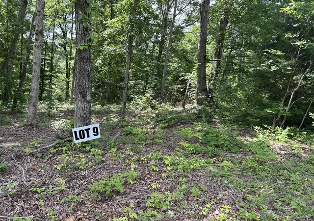 Photo 3 of Land for sale at 9 Slaughter Rd, Primm Springs, TN 38476 | MLS# 3079551 | Listing updated on 2026-09-11