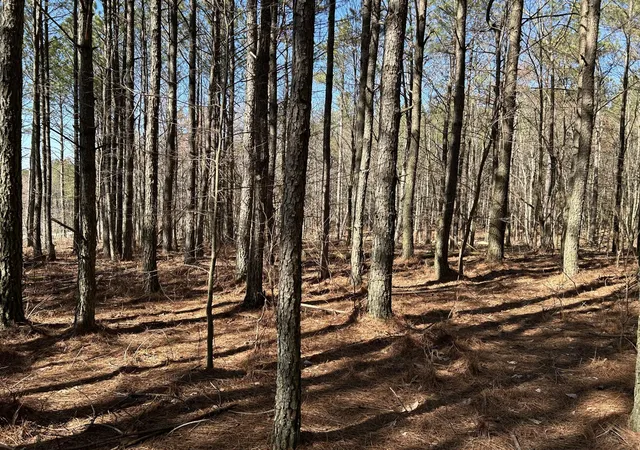 Photo 1 of Land for sale at 4210 Raulston Fls Rd, Jasper, TN 37347 | MLS# 3079519 | Listing updated on 2026-09-11