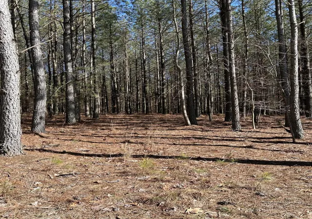 Photo 2 of Land for sale at 4210 Raulston Fls Rd, Jasper, TN 37347 | MLS# 3079519 | Listing updated on 2026-09-11