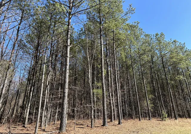 Photo 3 of Land for sale at 4210 Raulston Fls Rd, Jasper, TN 37347 | MLS# 3079519 | Listing updated on 2026-09-11