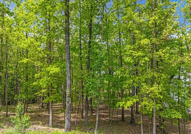 Photo 3 of Land for sale at 4288 Amethyst Rd, Chattanooga, TN 37419 | MLS# 3080044 | Listing updated on 2026-09-14