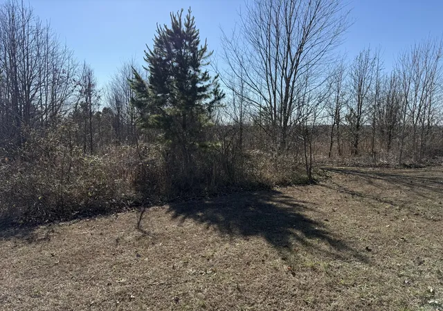 Photo 2 of Land for sale at 0 Castle Hl Dr, Bryant, AL 35958 | MLS# 3098353 | Listing updated on 2026-09-11