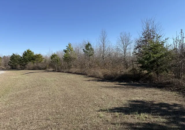 Photo 3 of Land for sale at 0 Castle Hl Dr, Bryant, AL 35958 | MLS# 3098353 | Listing updated on 2026-09-11