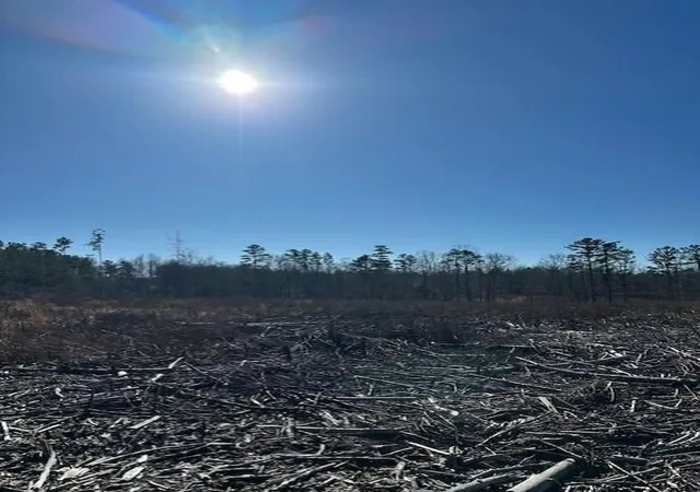 Land for sale at 1 50th Avenue, Gruetli Laager, TN 37339 | MLS# 3099484