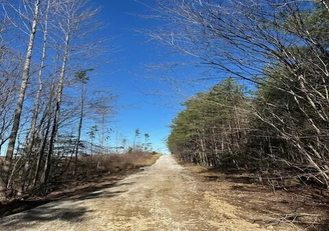 Photo 3 of Land for sale at 1 50th Avenue, Gruetli Laager, TN 37339 | MLS# 3099484 | Listing updated on 2026-09-11