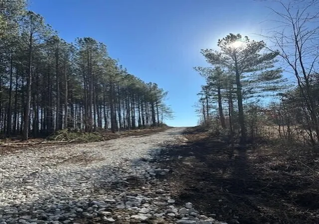 Photo 3 of Land for sale at 1 50th Avenue, Gruetli Laager, TN 37339 | MLS# 3099484 | Listing updated on 2026-09-11