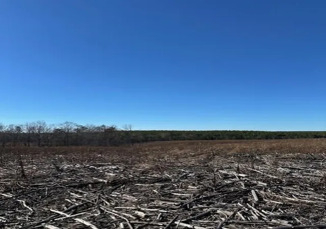 Photo 2 of Land for sale at 2 50th Avenue, Gruetli Laager, TN 37339 | MLS# 3099489 | Listing updated on 2026-09-11