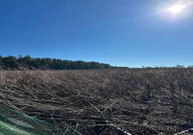 Land for sale at 3 50th Avenue, Gruetli Laager, TN 37339 | MLS# 3100023