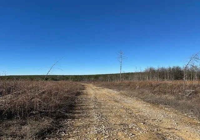 Photo 2 of Land for sale at 3 50th Avenue, Gruetli Laager, TN 37339 | MLS# 3100023 | Listing updated on 2026-09-11