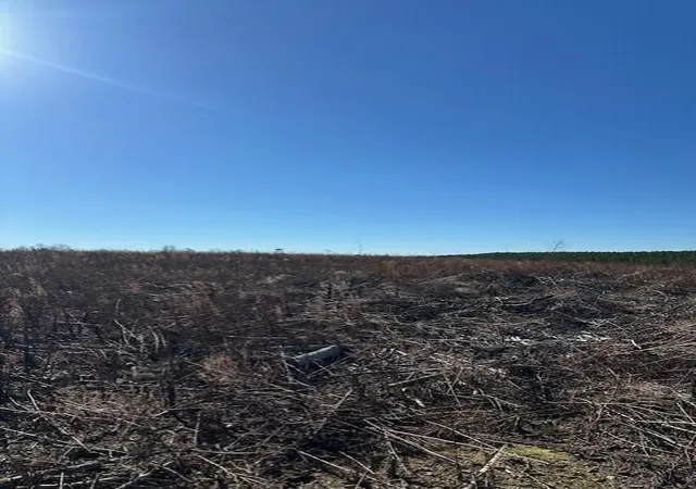 Land for sale at 4 50th Avenue, Gruetli Laager, TN 37339 | MLS# 3100942