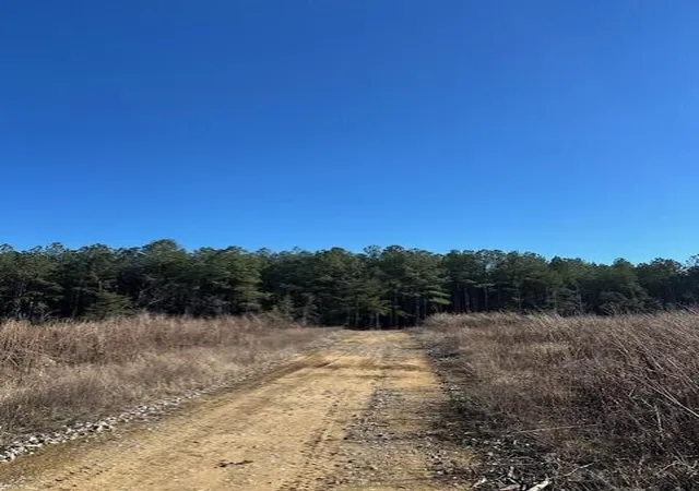 Photo 2 of Land for sale at 4 50th Avenue, Gruetli Laager, TN 37339 | MLS# 3100942 | Listing updated on 2026-09-11