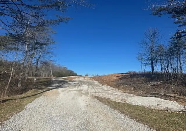 Photo 3 of Land for sale at 4 50th Avenue, Gruetli Laager, TN 37339 | MLS# 3100942 | Listing updated on 2026-09-11
