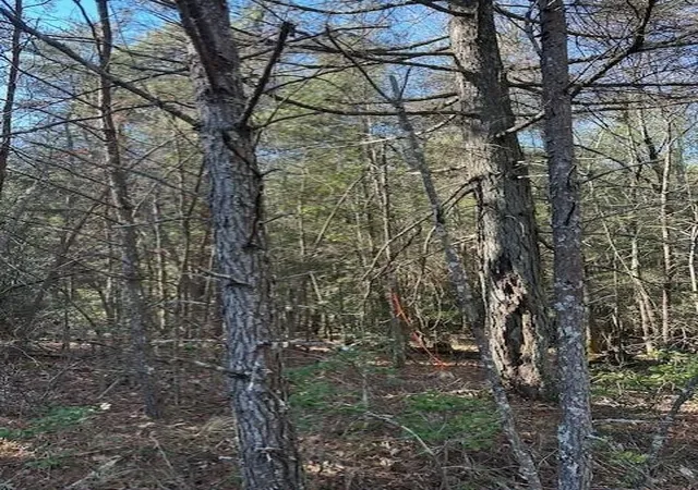 Land for sale at 5 50th Avenue, Gruetli Laager, TN 37339 | MLS# 3101333