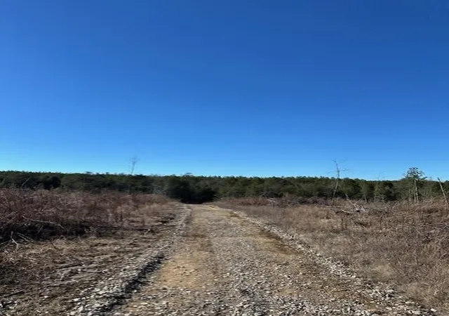 Photo 2 of Land for sale at 5 50th Avenue, Gruetli Laager, TN 37339 | MLS# 3101333 | Listing updated on 2026-09-11