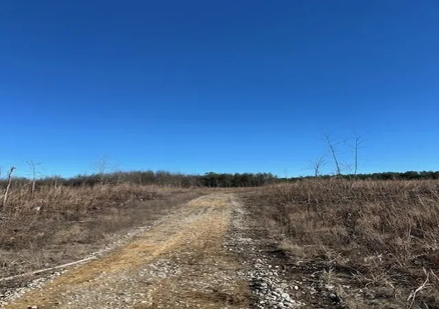 Photo 3 of Land for sale at 5 50th Avenue, Gruetli Laager, TN 37339 | MLS# 3101333 | Listing updated on 2026-09-11