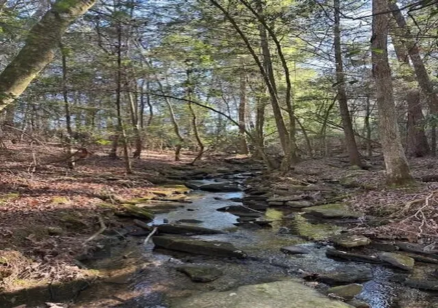 Photo 1 of Land for sale at 6 50th Avenue, Gruetli Laager, TN 37339 | MLS# 3103712 | Listing updated on 2026-09-11