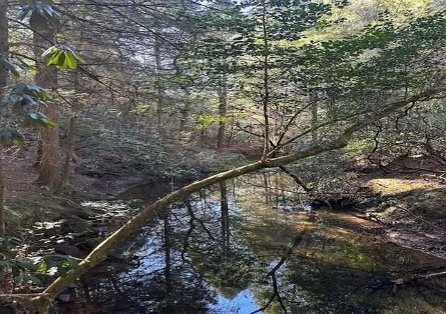 Photo 3 of Land for sale at 6 50th Avenue, Gruetli Laager, TN 37339 | MLS# 3103712 | Listing updated on 2026-09-11