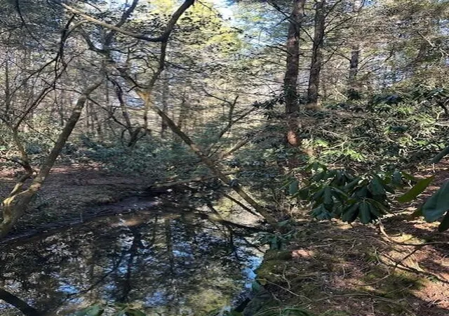 Photo 3 of Land for sale at 6 50th Avenue, Gruetli Laager, TN 37339 | MLS# 3103712 | Listing updated on 2026-09-11