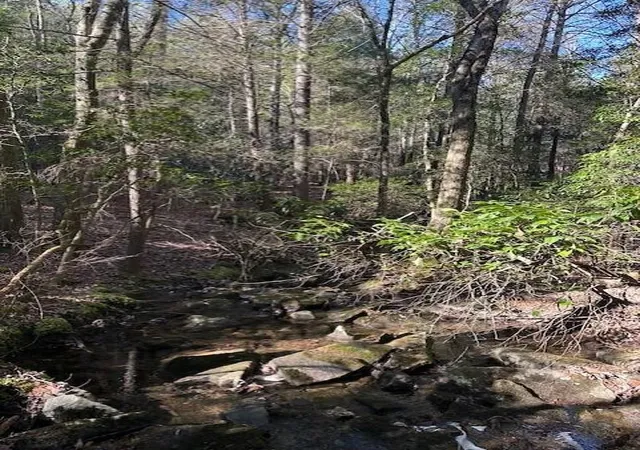 Photo 4 of Land for sale at 6 50th Avenue, Gruetli Laager, TN 37339 | MLS# 3103712 | Listing updated on 2026-09-11