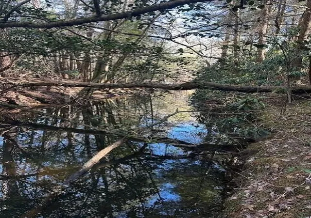 Photo 2 of Land for sale at 7 50th Avenue, Gruetli Laager, TN 37339 | MLS# 3106129 | Listing updated on 2026-09-11