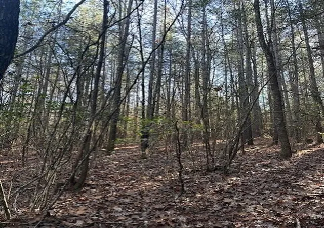 Photo 3 of Land for sale at 7 50th Avenue, Gruetli Laager, TN 37339 | MLS# 3106129 | Listing updated on 2026-09-11