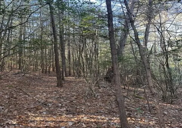 Photo 3 of Land for sale at 7 50th Avenue, Gruetli Laager, TN 37339 | MLS# 3106129 | Listing updated on 2026-09-11
