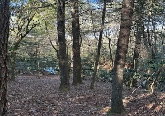 Photo 4 of Land for sale at 7 50th Avenue, Gruetli Laager, TN 37339 | MLS# 3106129 | Listing updated on 2026-09-11