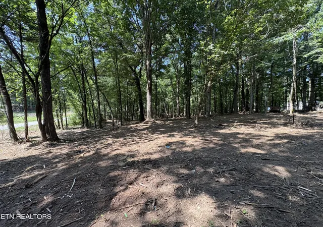 Photo 3 of Land for sale at 8188 E Town Crk Rd, Lenoir City, TN 37772 | MLS# 3136762 | Listing updated on 2026-09-11