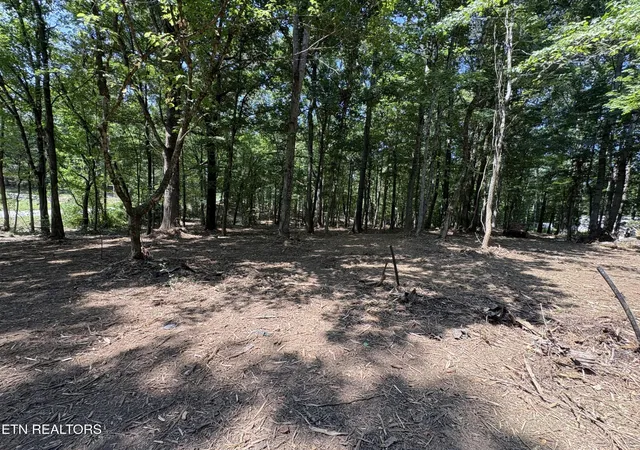 Photo 4 of Land for sale at 8188 E Town Crk Rd, Lenoir City, TN 37772 | MLS# 3136762 | Listing updated on 2026-09-11