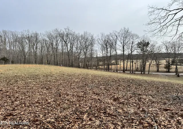 Photo 1 of Sale Pending at 41 Smith Mountain Rd, Rockwood, TN 37854 | MLS# 3118551 | Listing updated on 2026-09-14