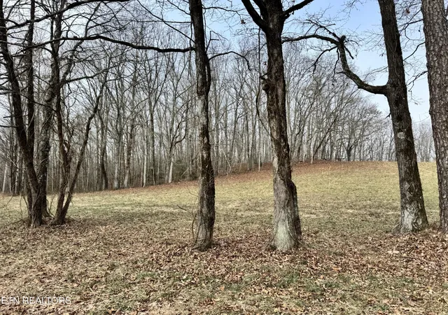 Photo 3 of Sale Pending at 41 Smith Mountain Rd, Rockwood, TN 37854 | MLS# 3118551 | Listing updated on 2026-09-14