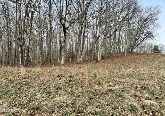Photo 4 of Sale Pending at 41 Smith Mountain Rd, Rockwood, TN 37854 | MLS# 3118551 | Listing updated on 2026-09-14