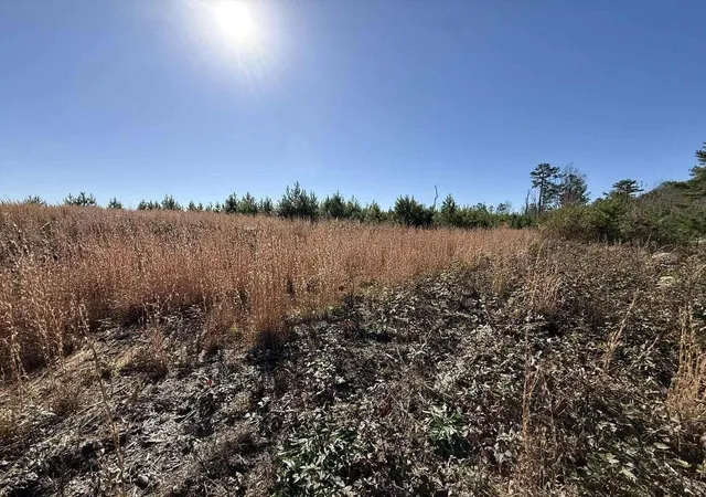 Photo 2 of Land for sale at 0 St Rt 399, Dunlap, TN 37327 | MLS# 3128818 | Listing updated on 2026-09-11