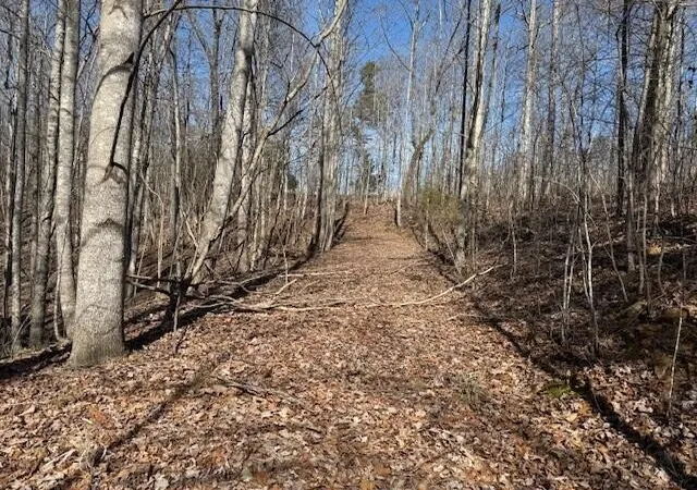 Land for sale at 3 S Pittsburg Mountain, South Pittsburg, TN 37380 | MLS# 3130575
