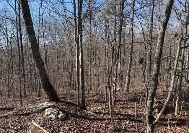 Photo 1 of Land for sale at 3 S Pittsburg Mountain, South Pittsburg, TN 37380 | MLS# 3130575 | Listing updated on 2026-09-30