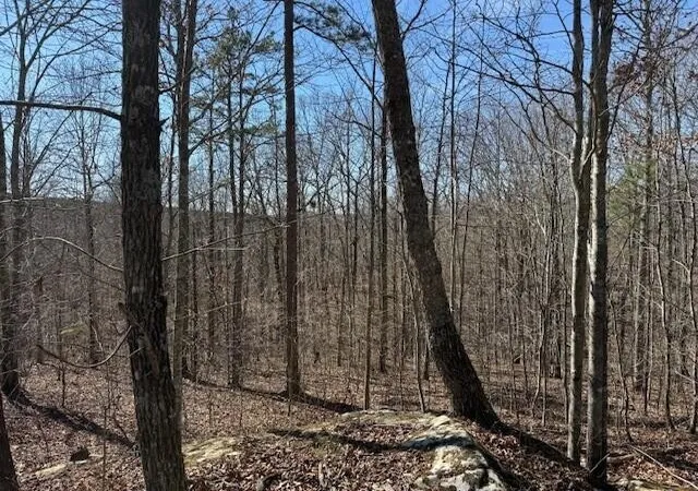 Photo 2 of Land for sale at 3 S Pittsburg Mountain, South Pittsburg, TN 37380 | MLS# 3130575 | Listing updated on 2026-09-30