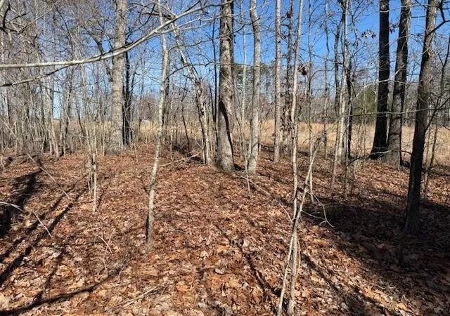 Photo 3 of Land for sale at 3 S Pittsburg Mountain, South Pittsburg, TN 37380 | MLS# 3130575 | Listing updated on 2026-09-30