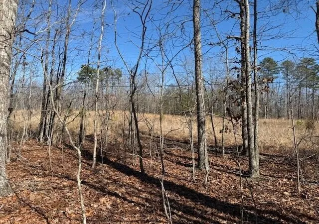 Photo 4 of Land for sale at 3 S Pittsburg Mountain, South Pittsburg, TN 37380 | MLS# 3130575 | Listing updated on 2026-09-30