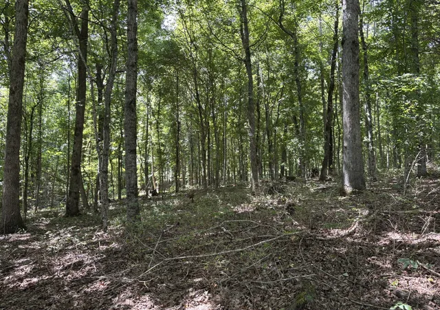 Photo 1 of Land for sale at 0 Middle Lick Crk Rd, Lyles, TN 37098 | MLS# 3131208 | Listing updated on 2026-09-15
