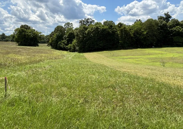 Photo 2 of Land for sale at 0 Middle Lick Crk Rd, Lyles, TN 37098 | MLS# 3131208 | Listing updated on 2026-09-15