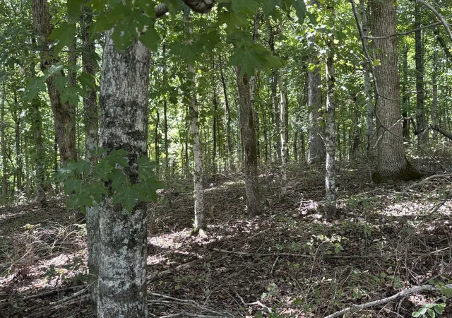 Photo 3 of Land for sale at 0 Middle Lick Crk Rd, Lyles, TN 37098 | MLS# 3131208 | Listing updated on 2026-09-15