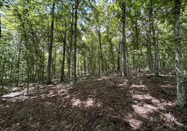 Photo 4 of Land for sale at 0 Middle Lick Crk Rd, Lyles, TN 37098 | MLS# 3131208 | Listing updated on 2026-09-15