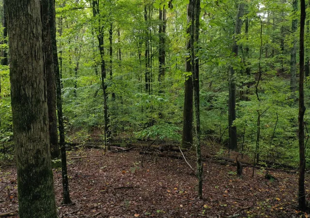 Photo 1 of Land for sale at 0 Fawnwood, Spring City, TN 37381 | MLS# 3246740 | Listing updated on 2026-09-11