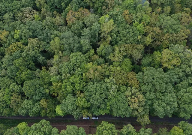 Photo 4 of Land for sale at 0 Fawnwood, Spring City, TN 37381 | MLS# 3246740 | Listing updated on 2026-09-11