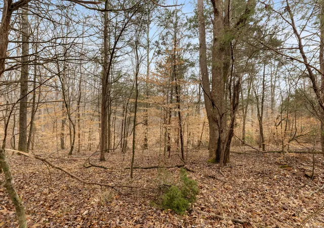 Photo 2 of Land for sale at 0 Griffintown Rd, White Bluff, TN 37187 | MLS# 3153167 | Listing updated on 2026-09-11