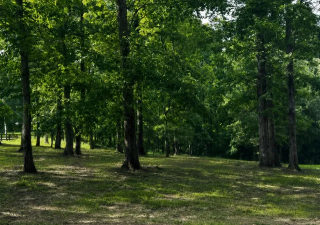 Photo 3 of Single family home for sale at 7865 Barnhill Rd, Primm Springs, TN 38476 | MLS# 3232460 | Listing updated on 2026-09-23