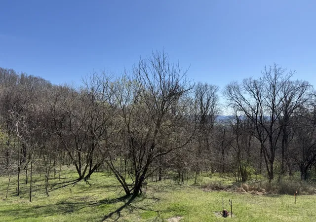 Photo 3 of Land for sale at 0 Ed Seay Gregory Ln, Hartsville, TN 37074 | MLS# 3159025 | Listing updated on 2026-09-15