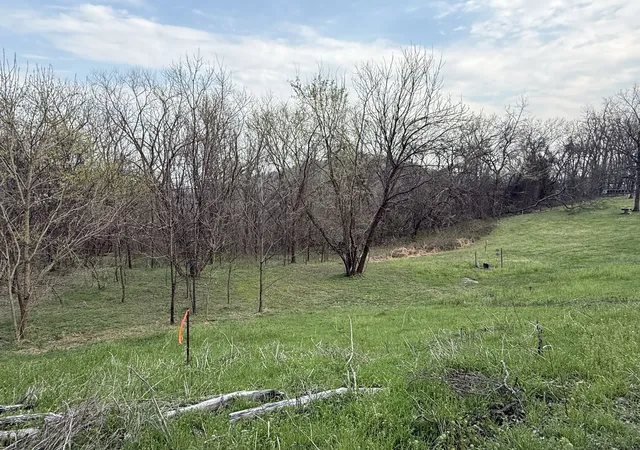 Photo 3 of Land for sale at 0 Ed Seay Gregory Ln, Hartsville, TN 37074 | MLS# 3159025 | Listing updated on 2026-09-15