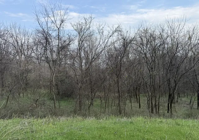 Photo 4 of Land for sale at 0 Ed Seay Gregory Ln, Hartsville, TN 37074 | MLS# 3159025 | Listing updated on 2026-09-15